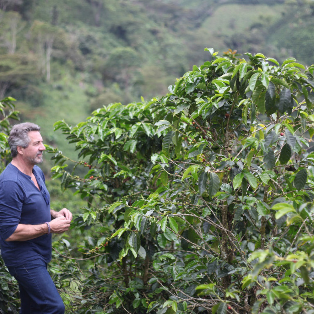 Better Beans, Better Health: Helpful Tips on Conscious Coffee Selection