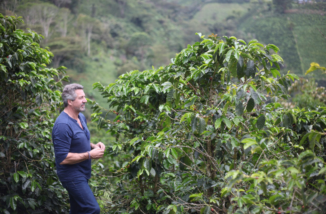 Better Beans, Better Health: Helpful Tips on Conscious Coffee Selection