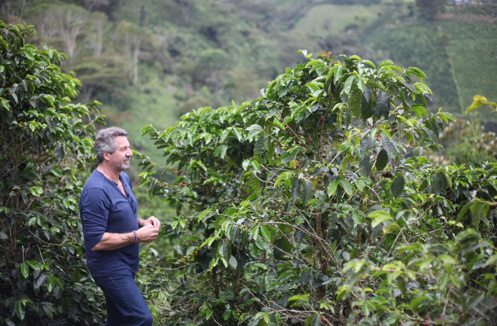 Better Beans, Better Health: Helpful Tips on Conscious Coffee Selection