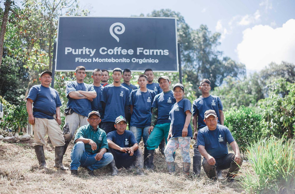 Purity Coffee Farms