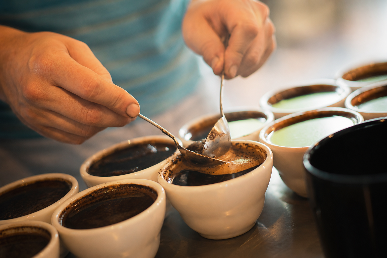 Coffee professional evaluating brewed coffee with tasting spoons during a cupping session