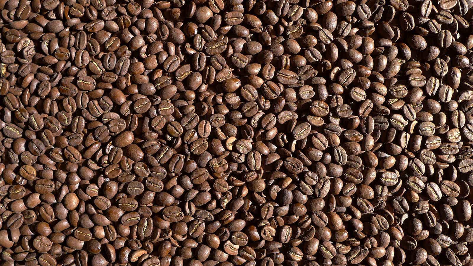 Organic Specialty Grade Coffee