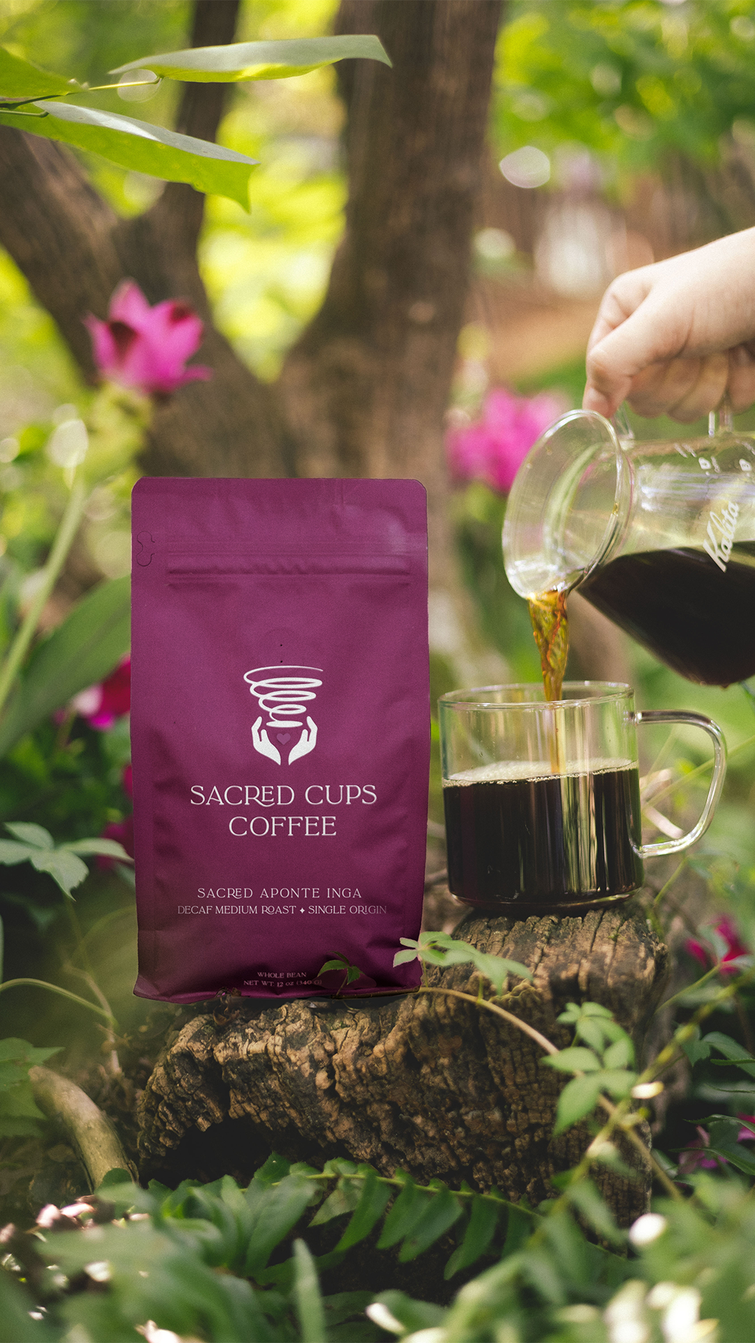 Purity Coffee | Shop High Antioxidant Organic Coffee Online Purity Coffee | Shop High Antioxidant Organic Coffee Online