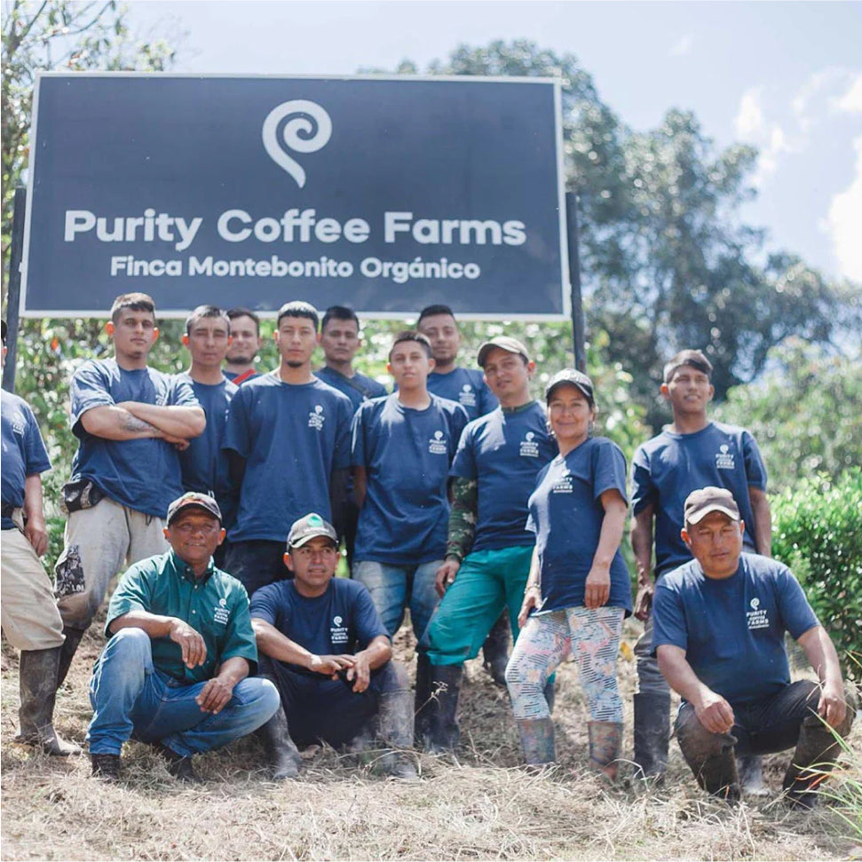 Purity Coffee Farms image of team