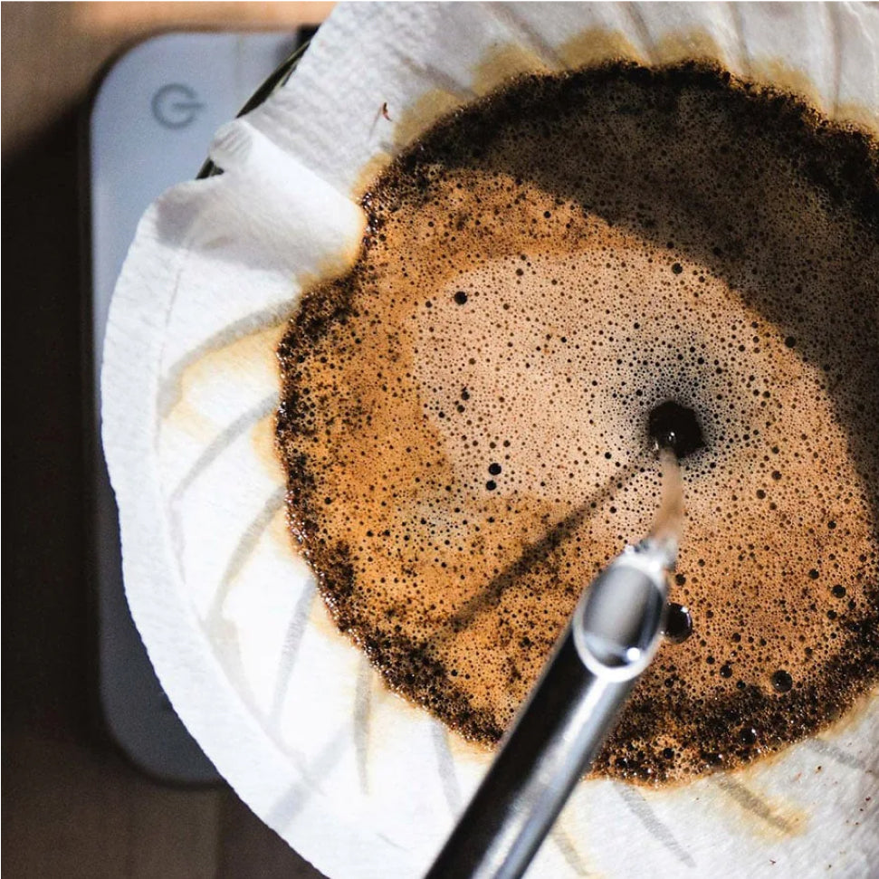 Overhead image of coffee grounds with water being poured on top through filter